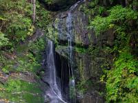 Herabfließendes Rinnsal an der Talbach Klammwand